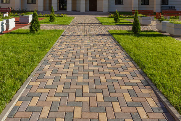 Reasons to Select Us for Your Driveway Paving Requirements in Winnebago, MN
